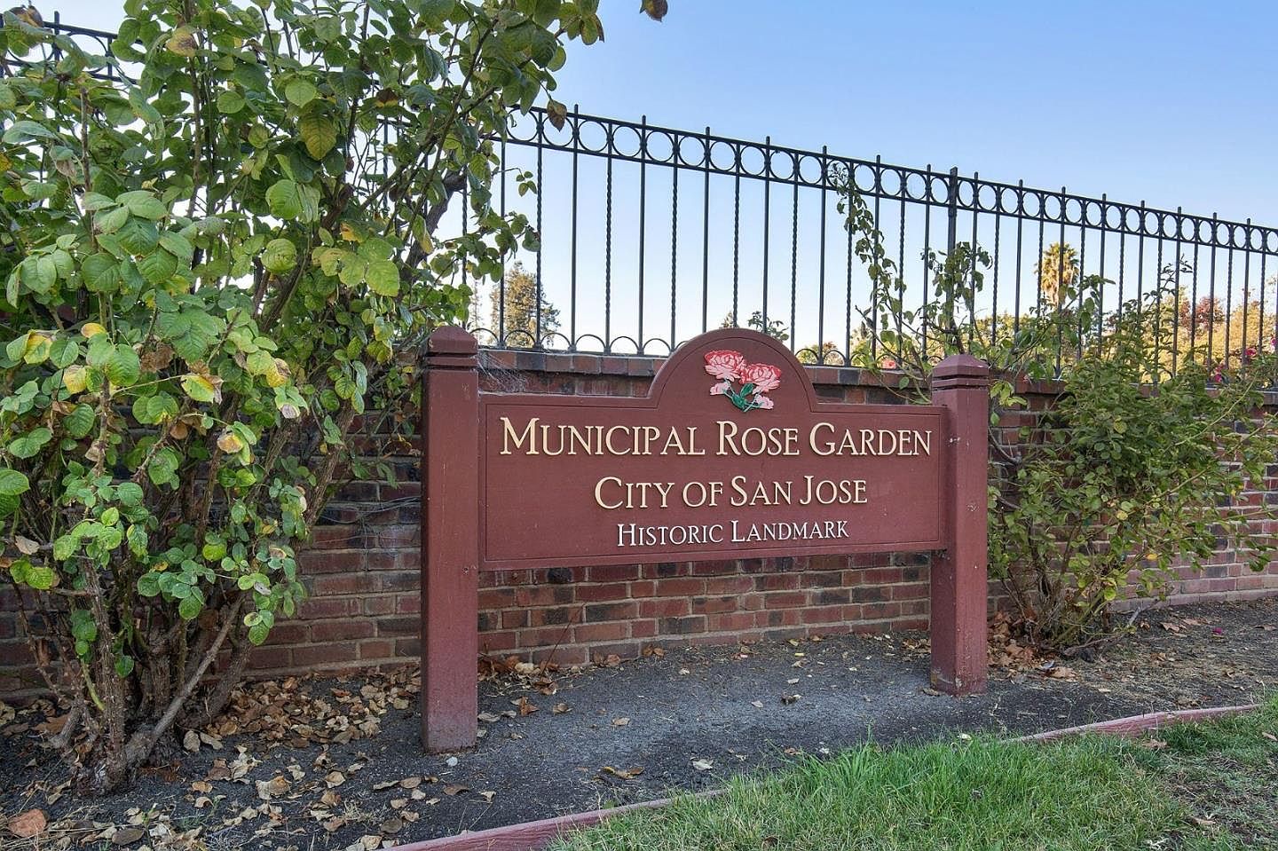 1344 University Ave, San Jose, CA 95126