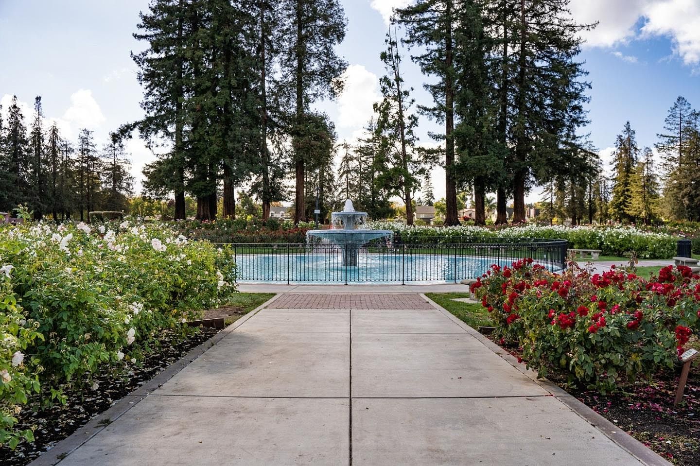 1344 University Ave, San Jose, CA 95126