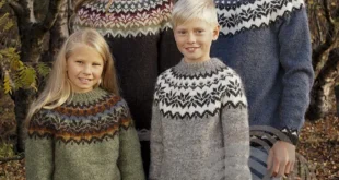 Afmæli 20-year Anniversary Sweater pattern by Védís Jónsdóttir for Ístex knitting pattern image 1
