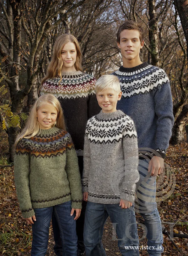 Afmæli 20-year Anniversary Sweater pattern by Védís Jónsdóttir for Ístex knitting pattern image 1