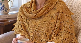 Ashton Shawlette pattern by Dee O'Keefe knitting pattern AI image 1