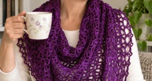 Fortune's Shawlette pattern by Tamara Kelly knitting pattern AI image 1