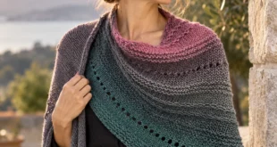 May I Borrow This Please pattern by Lorraine Waitman knitting pattern AI image 1