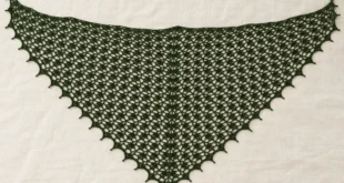 Elise Shawl pattern by Evan Plevinski knitting pattern AI image 1