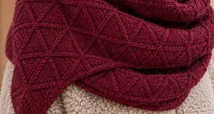 Forager pattern by Thien-Kieu Lam knitting pattern AI image 1