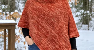 Gingerberry Shawl pattern by Judy Jewell knitting pattern AI image 1