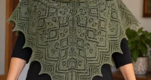 Meander in the Woods Shawl pattern by Denise Bartels knitting pattern AI image 1